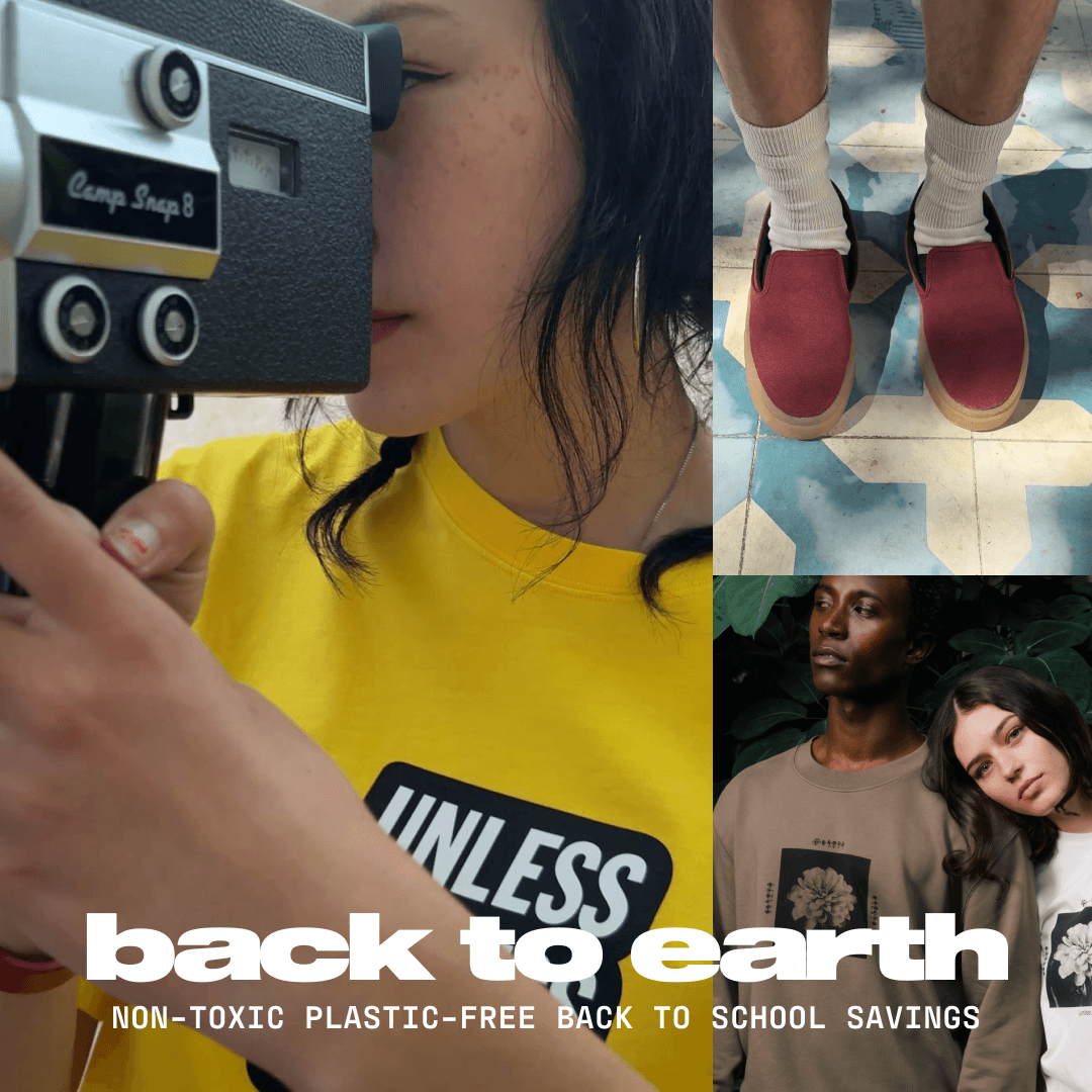 Back to Earth - Back to School
